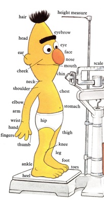 Sesame Street Word Book - Bert