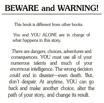 Choose Your Own Adventure